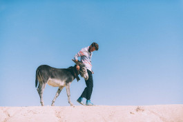 ImpalaRay_PhilPham_2018_008