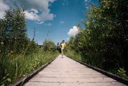 Phil Pham Portfolio 2022