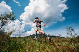 Phil Pham Portfolio 2022