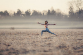 Phil Pham Portfolio 2022