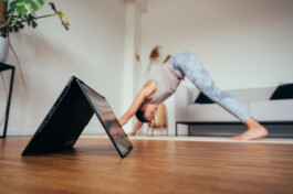 ASUS Rogflow Anne Bodykiss