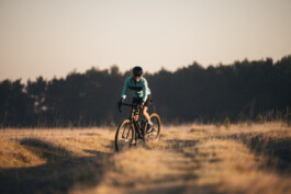 Phil Pham Portfolio 2022