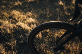 Phil Pham Portfolio 2022