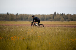 Phil Pham Portfolio 2022