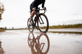 Phil Pham Portfolio 2022