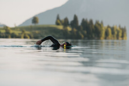 Phil Pham Portfolio 2022