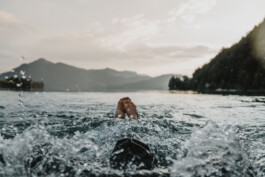 Phil Pham Portfolio 2022